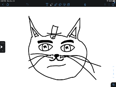 My weird cat