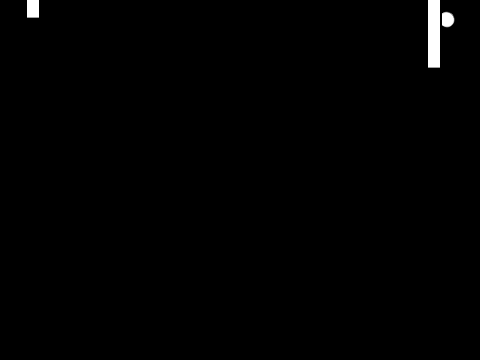 Pong