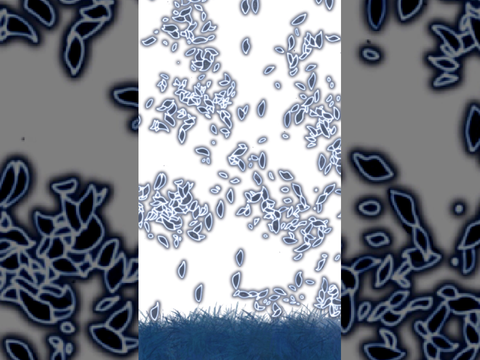 Petals || Art Test 