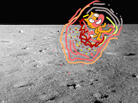 Cat Meteor 2022