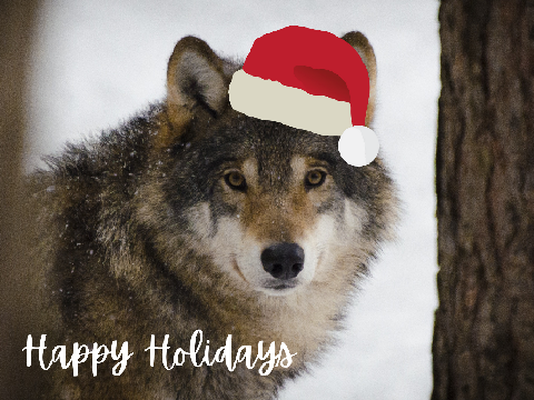 Happy holidays!! <3
