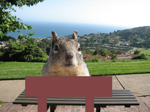 squrill dateing