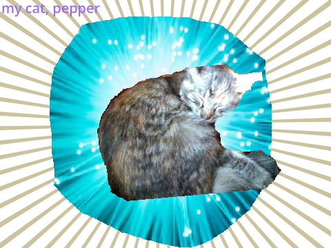 My cat PEPPER