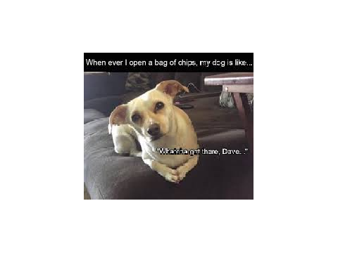 Funny memes for kids P.2
