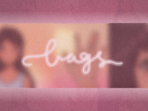 ✧ B a g s 
