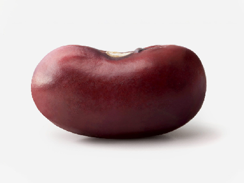 Eating Bean Reveal!