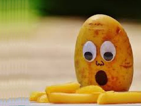 The Potato Song