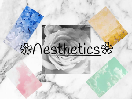 ❀ Aesthetics ❀