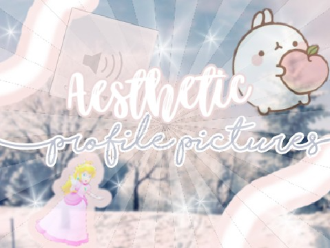 Aesthetic Pfp's to use <3