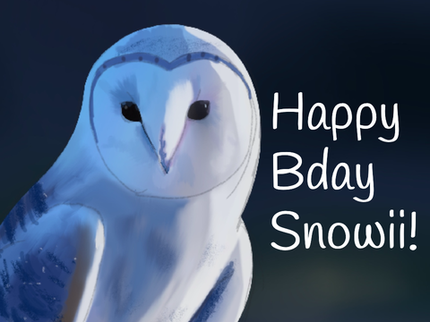 Happy birthday Snowii!!!