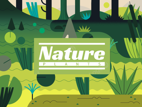 Nature and Plants Logo