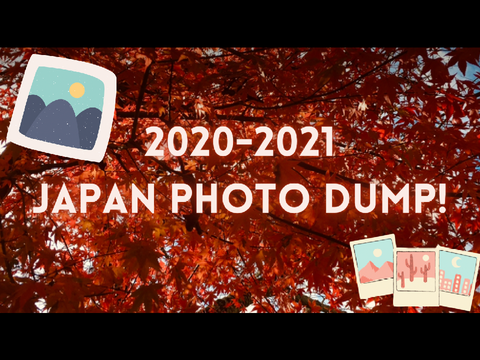 2020 - 2021 Japan Photo Dump