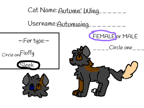 Warrior Cats MCM Base remix