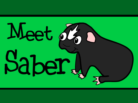 Meet Saber