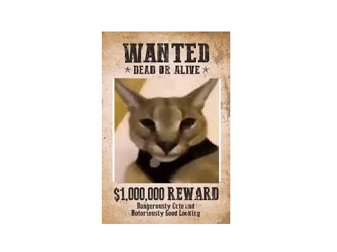 Wanted poster competition  entry :D