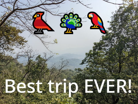 ~My Trip to a Bird Sanctuary~ 