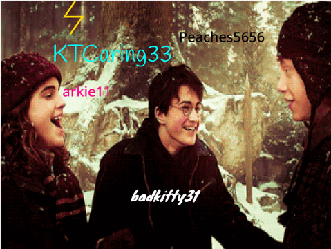 Sign if you think Harry Potter is the best thing in the world!! remix remix
