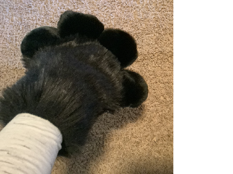 paws :0