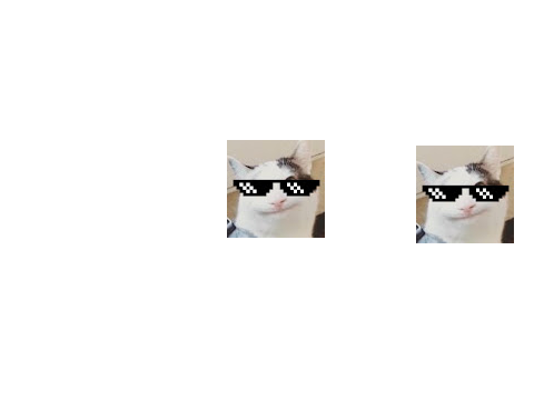 new scratch cat #all