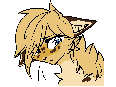 Nutmegpaw/Fur/Star oc