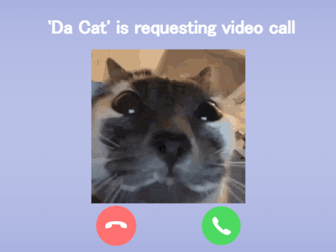 Da Cat