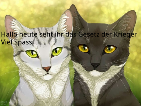 Das Gesetzt der Krieger!!!