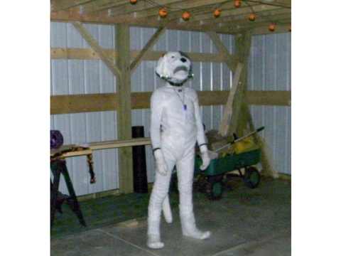 Cursed image part 2