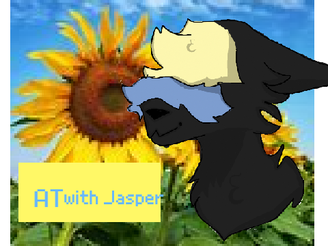 AT with Jasper