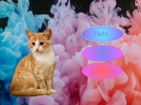 Dress up Sunny the cat!