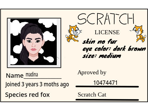 Make Your Own Scratch License remix