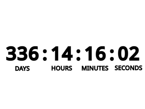 Time Until Next Year