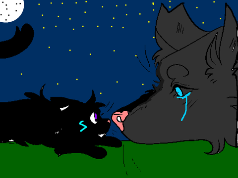 Rockabye CCE|| 