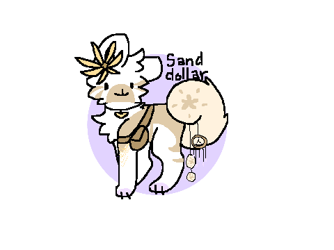 Sand Dollar// Ref [PENDING]