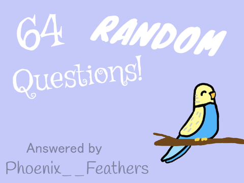 64 RaNdOm Questions for 30 followers!