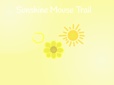 Sunshine Mouse Trail