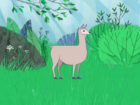 Dancing llama
