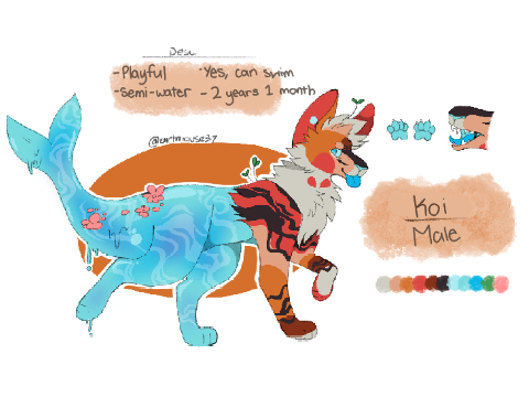 Koi Ref