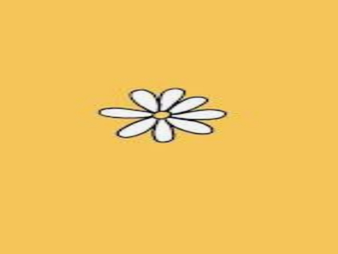 Aesthetic no.1 (yellow group)