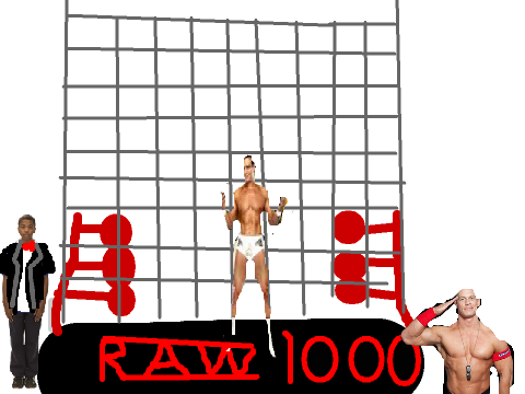 WWE match