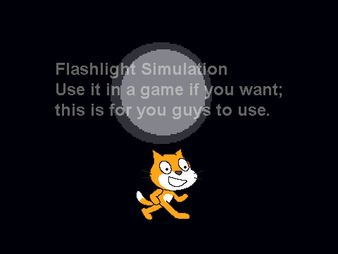 Flashlight Sim