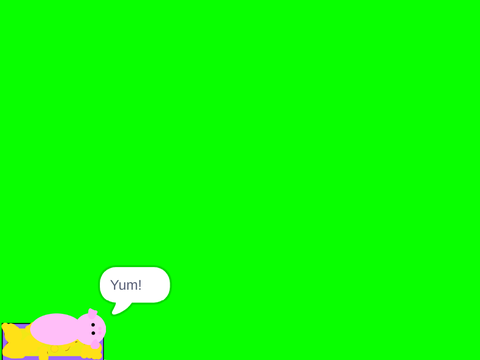 Pet pig