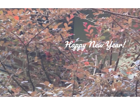 New Year