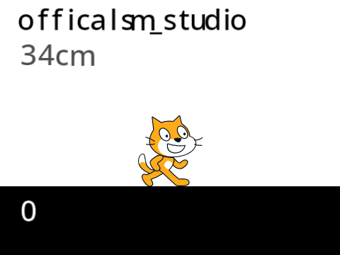 RUN