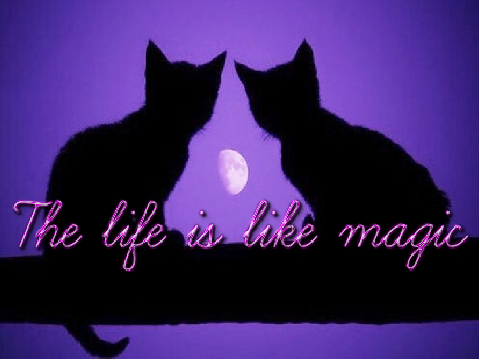 ❝ The life is like magic ❞