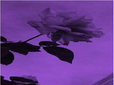 Project thumbnail