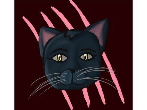 Cat drawing