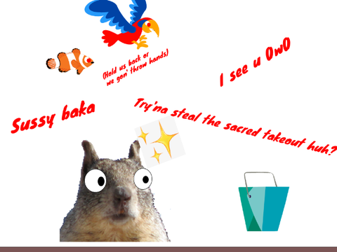 Sus Squirrel :3