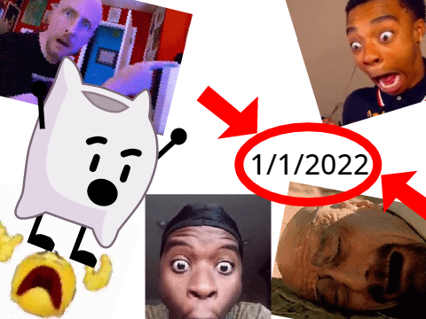 Pillow finds out it's new years 2022