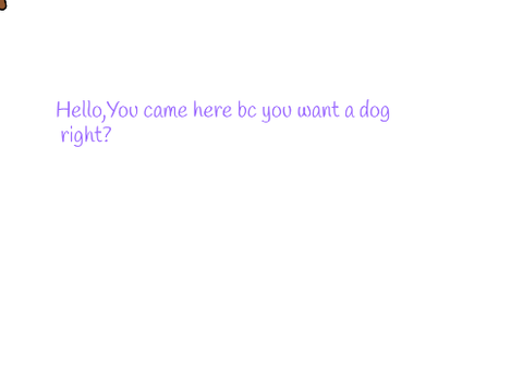 how to convince you Parents to get a dog 