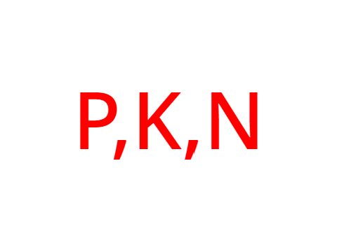 Papier, Kamień, Nożyce v2